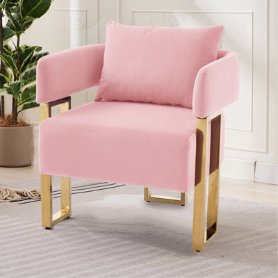 Mercer41 Modern Decorative Chair Living Room Side Chair With Gold Metal Legs No Wheels Suitable For Dressing Area Reception Room OfficeVelvet Fleece Upho