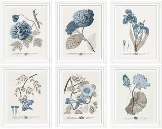 William Stafford Set of 6 Imperial Flowers II Art