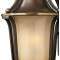 Thumbnail for your product : Hinkley Lighting Bolla Extra Large Outdoor Light