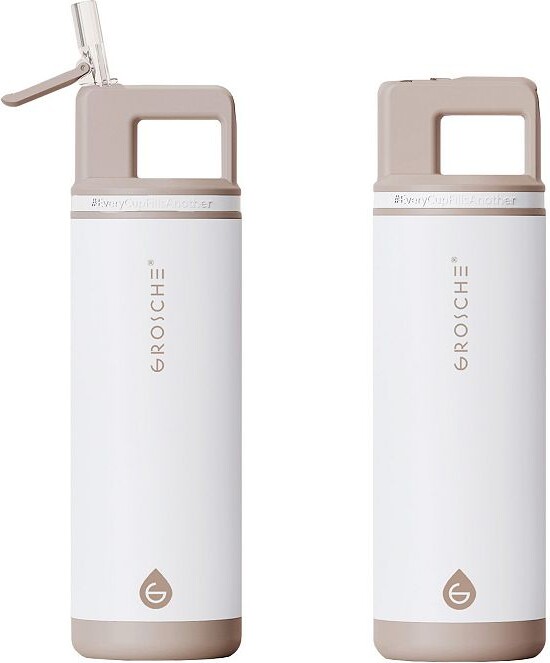 Grosche ALPINE Flip 'N Sip Insulated 20-oz. Leakproof Water Bottle with Straw 2-pk.