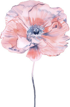 RFA Decor Poppy No. 7