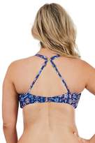 Thumbnail for your product : Sunseeker Crusade DD/E Cup Bralette
