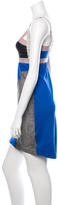 Thumbnail for your product : VPL Colorblock Bodycon Dress