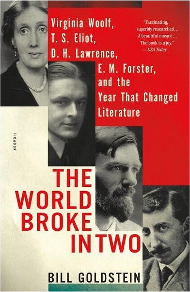 Picador USA TheWorldBrokeinTwo-byBillGoldstein(Paperback)