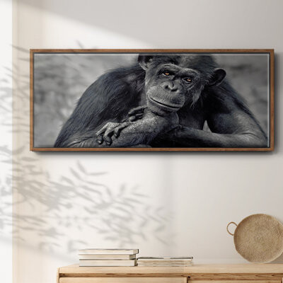 Wexford Home Captivated- Framed Canvas