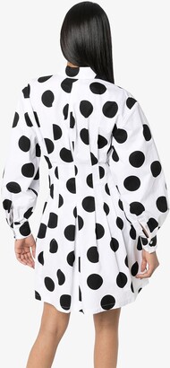 Carolina Herrera Large Polka Dot Shirt Dress