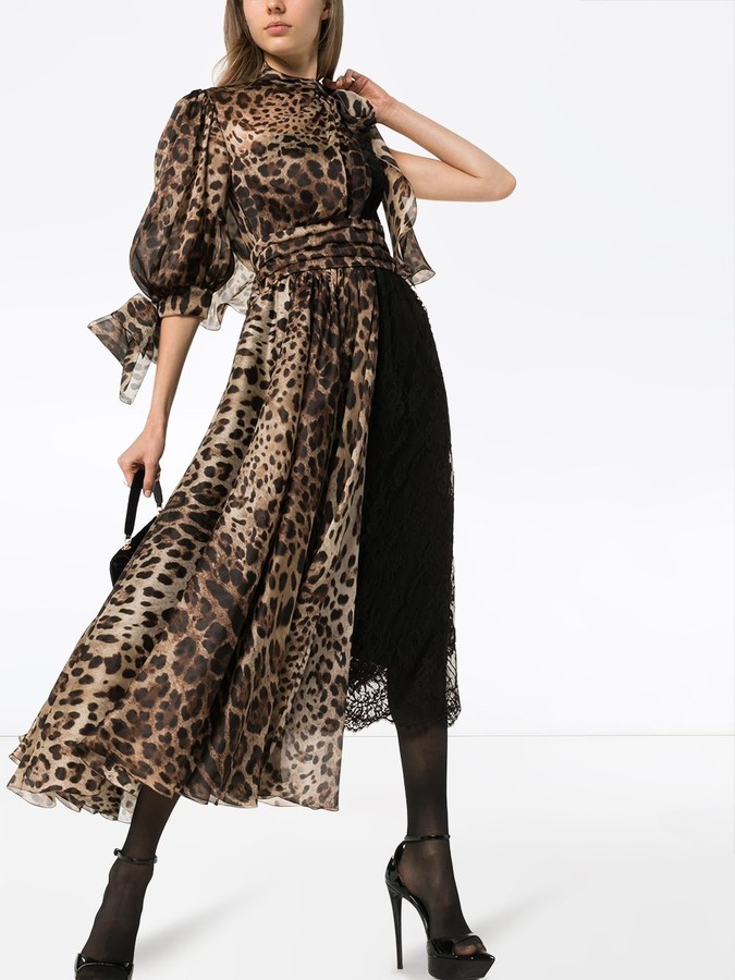dolce & gabbana leopard