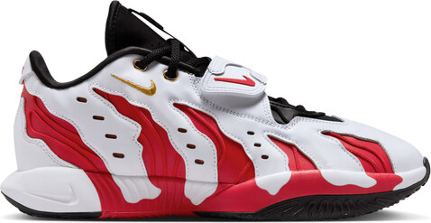 Lebron James Nike LeBron Prime 96
