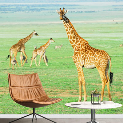 IDEA4WALL African Savanna Giraffe Family Animals Nature Photography Decorative Landscape Scenery