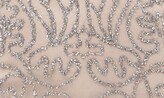 Thumbnail for your product : JS Collections Beaded Column Gown