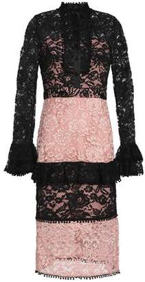 Alexis Two-Tone Corded Lace Dress