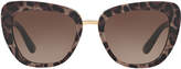 Thumbnail for your product : Dolce & Gabbana Gradient Squared Cat-Eye Acetate Sunglasses