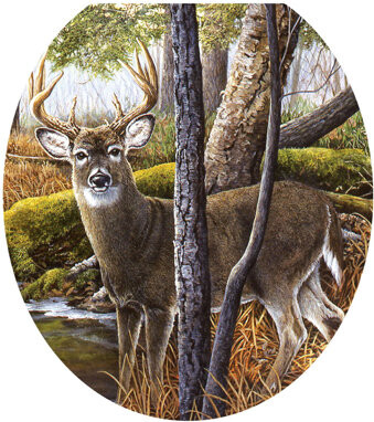 Lodge Deer Creek Toilet Seat Decal – Toilet Tattoos Rustic Static Cling Vinyl Lid Cover Fits Round & Elongated Seats