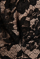 Thumbnail for your product : Temperley London Newton lace and stretch-silk jumpsuit