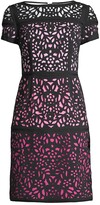 Thumbnail for your product : Shani Ombre Laser-Cut Lace Dress