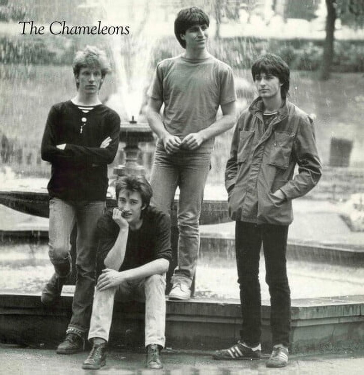Blue Apple Music Uk The Chameleons - TONY FLETCHER - Music & Performance - Vinyl