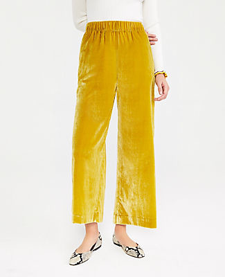 petite velvet pants