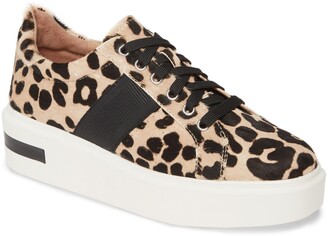 linea paolo platform sneaker