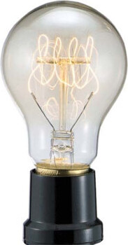 Symple Stuff Bodnar 60W Light Bulb