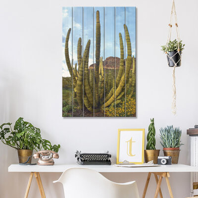Union Rustic Organ Pipe Cactus, Organ Pipe Cactus National Monument, Sonoran Desert, Arizona I by Tim Fitzharris - Unframed Print on Wood