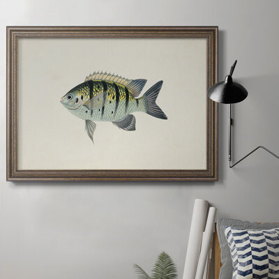 Rosecliff Heights Tropical Fish Collection VI - Print