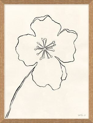 Soicher Marin 'Line Drawing II' by Susan Hable - Picture Frame Painting on Paper