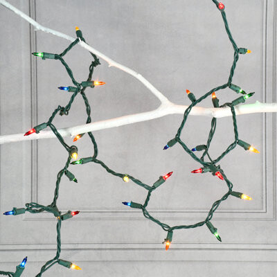 Electric Mini String Lights with 100 Bulbs