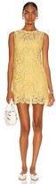 Thumbnail for your product : Dolce & Gabbana Lace Sleeveless Mini Dress in Yellow