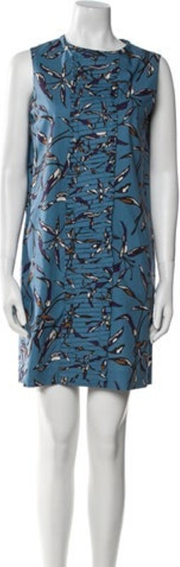 S Max Mara 'S Max Mara Shift Dress Blue Printed Ruffle Embellishment Sleeveless with Crew Neck Concealed Zip Closure at Back