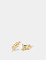 Thumbnail for your product : Coach Mini Demi-Fine Feather Stud Earrings