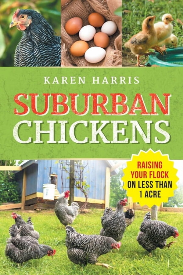Suburban Chickens: Raising Your Flock on Less Than One Acre, (Paperback)