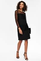 Thumbnail for your product : WallisWallis Black Lace Shift Dress