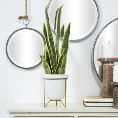 Novogratz Cole And Grey Traditional Plastic Floral And Botanical Artificial Foliage