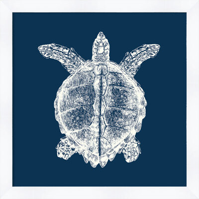 Melissa Van Hise 'Turtle in Blue Reverse' Framed Graphic Art Print