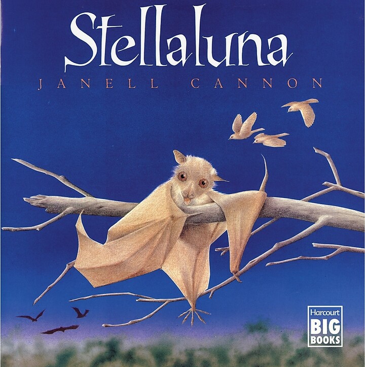 Houghton Mifflin Stellaluna Big Book
