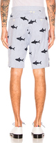 Thumbnail for your product : Thom Browne Shark Embroidery Shorts