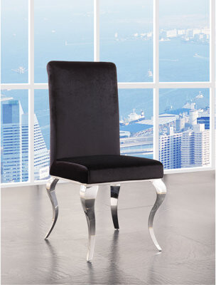 Hokku Designs Fabric & Stainless Steel Side Chair (Set Of 2)
