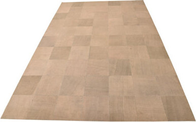 Isabelline Nivens Light Brown Rug