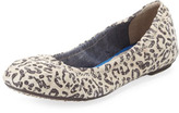 Thumbnail for your product : Toms Leopard-Print Scrunch Suede Flat