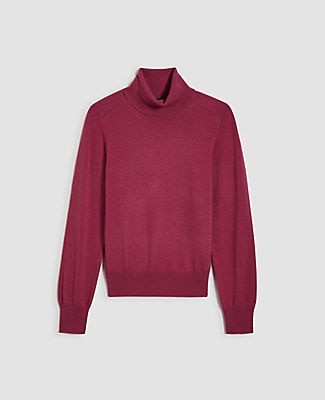 ann taylor turtleneck sweaters