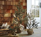 Thumbnail for your product : Pottery Barn Faux LED Lit Potted Pine Trees
