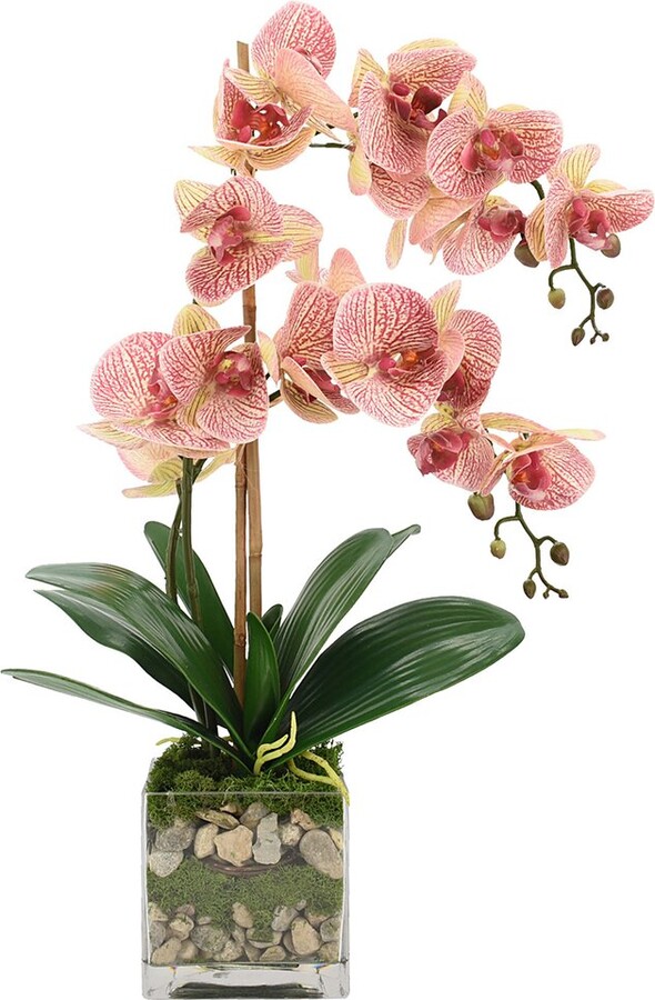Creative Displays Orchid Floral In Glass Vase With Moss & Rocks ShopStyle