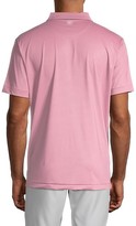 Thumbnail for your product : Peter Millar Dandy Printed Performance Jersey Polo