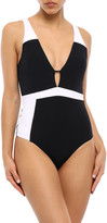 Thumbnail for your product : Jets Classique Plunge Two-tone Swimsuit
