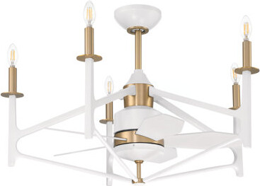 Craftmade The Reserve 24" Ceiling Fan with LED Lights & Remote