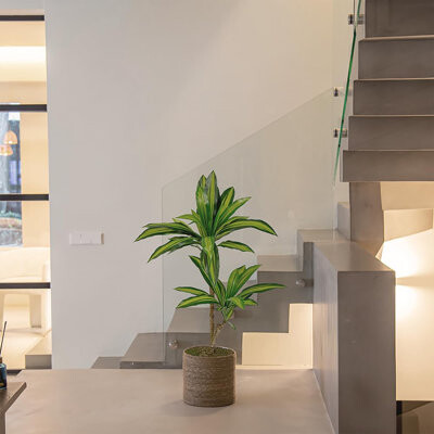 Artificial Dracaena Plant Tropical Palm Tree