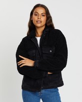 Thumbnail for your product : All About Eve Assemble Teddy Jacket