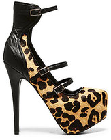 Thumbnail for your product : Steve Madden Dallus