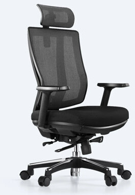 OdinLake L2 (Ergo PRO 633) | Ergonomic Office Chair(Built-in Footrest)