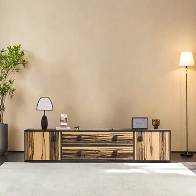 Trentastic Trails Creative personality design retro TV cabinet